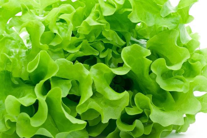 12 thực phẩm có công dụng thanh lọc máu