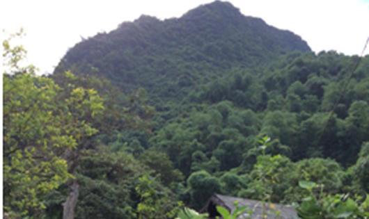 Hệ Lụy từ việc khai thác của Công ty TNHH Đá Cẩm Thạch RK Việt Nam với người dân Yên Bái 