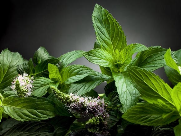 bí quyết làm đẹp 0 bí quyết làm đẹp 0