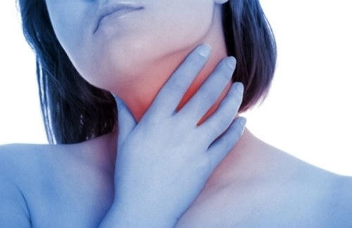 bach-hau-1-171801632