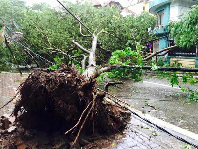 {keywords} {keywords}