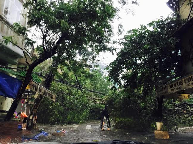 {keywords} {keywords}