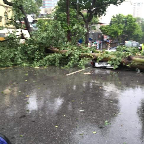 {keywords} {keywords}