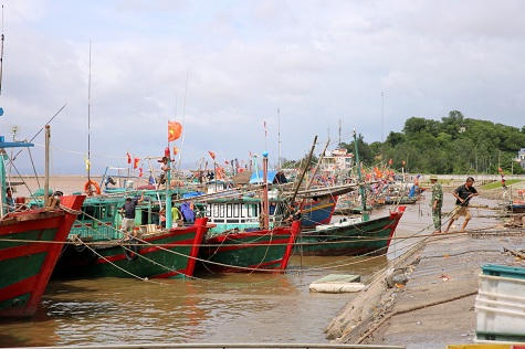 Toàn cảnh sức tàn phá khốc liệt của cơn bão số 1