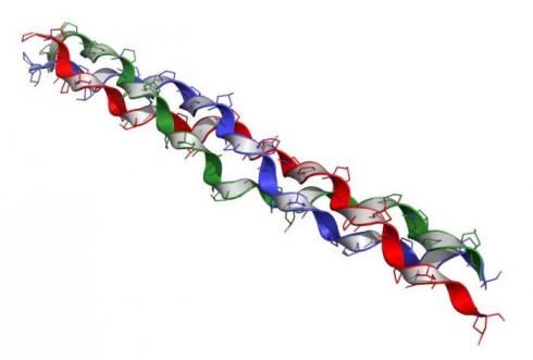 Collagen là gì? -2