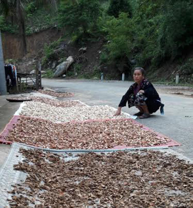 Hơn nửa cuộc đời chữa bệnh vô sinh