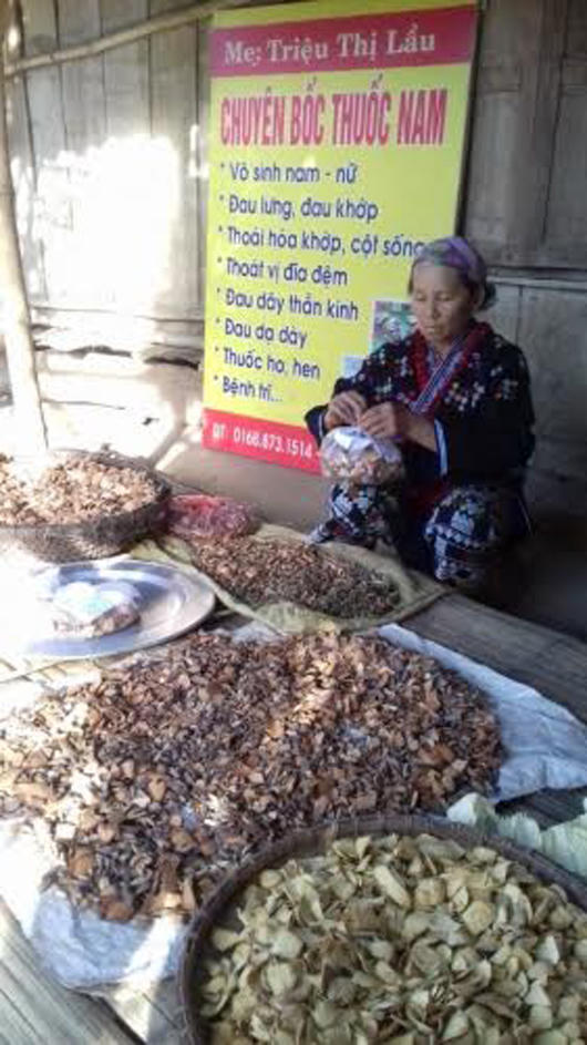 Biệt tài chữa vô sinh của lương y Triệu Thị Lầu