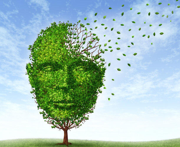 khu mui, my pham khu co nguy co mac beh Azheimer