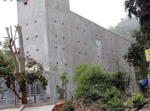 Dân Việt ăn sang: Lợn tẩm bổ thuốc bắc, cà chua bón trứng sữa