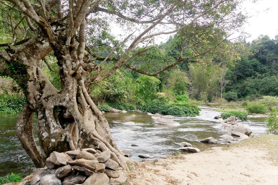 Về thăm Pác Bó - vùng đất thiêng lịch sử 