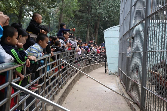 Các gia đình đổ đến công viên vui Tết Dương lịch