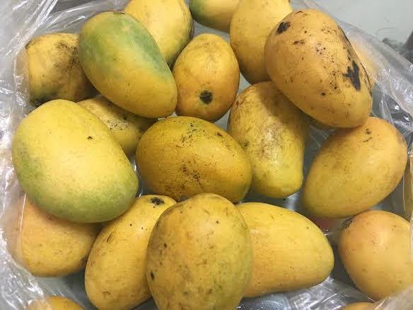 Đặc sản Việt gốc Tàu: Cú lừa thập kỷ, ta tự hại mình - Ảnh 1.