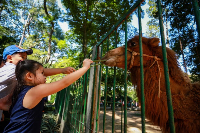 Các gia đình đổ đến công viên vui Tết Dương lịch