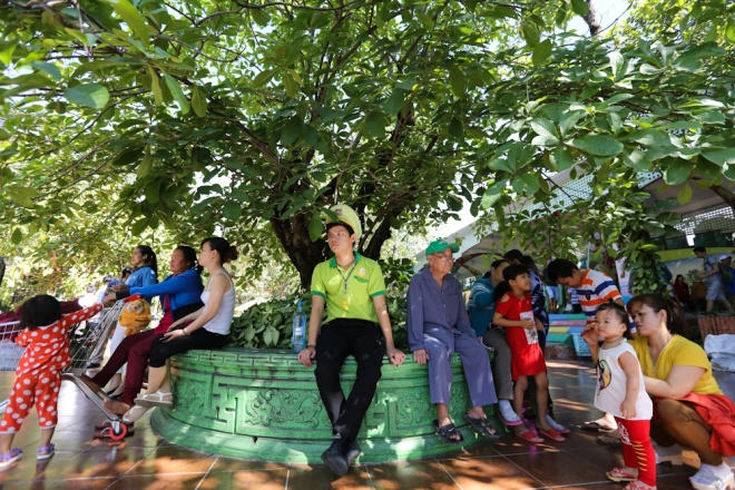 Các gia đình đổ đến công viên vui Tết Dương lịch