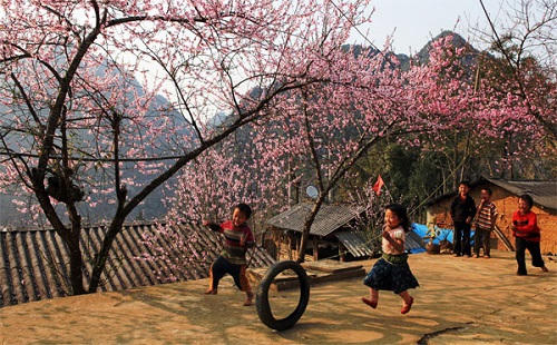 Ngắm sắc đào kiêu sa giữa núi rừng Tây Bắc