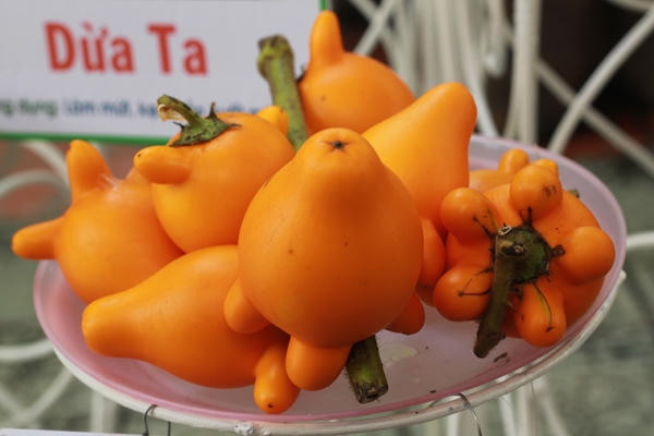 Sính của lạ, dân Thủ đô mua cả 'cà độc dược' về thờ