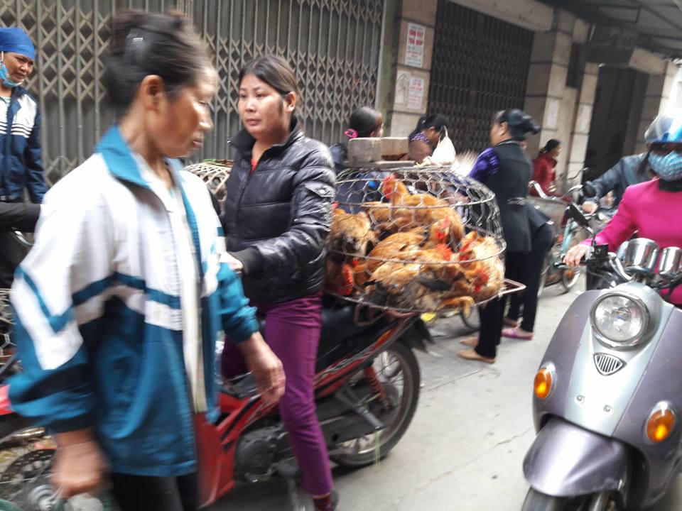 Độc đáo phiên chợ Gà ở Hà Nội