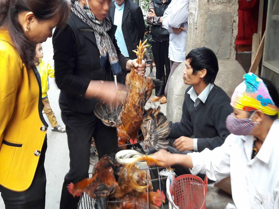 Độc đáo phiên chợ Gà ở Hà Nội