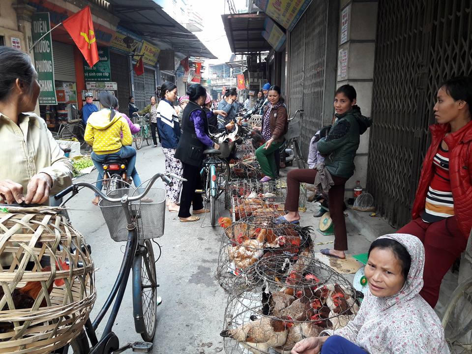Độc đáo phiên chợ Gà ở Hà Nội