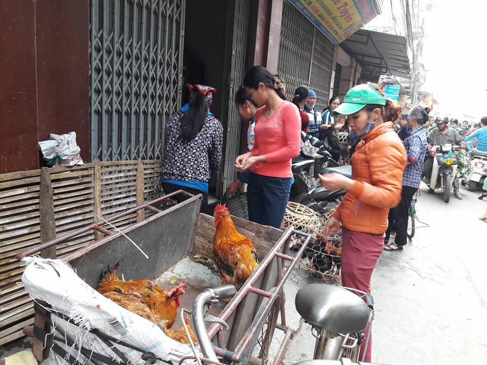 Độc đáo phiên chợ Gà ở Hà Nội