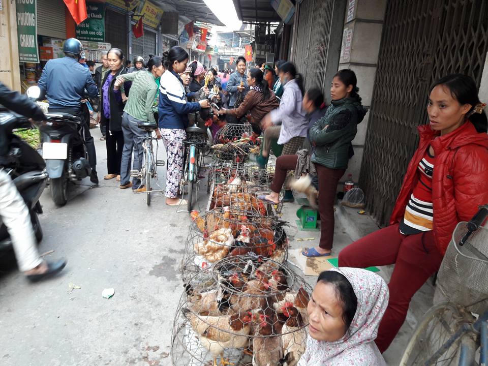 Độc đáo phiên chợ Gà ở Hà Nội