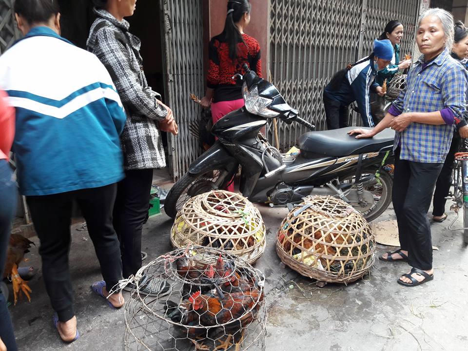 Độc đáo phiên chợ Gà ở Hà Nội