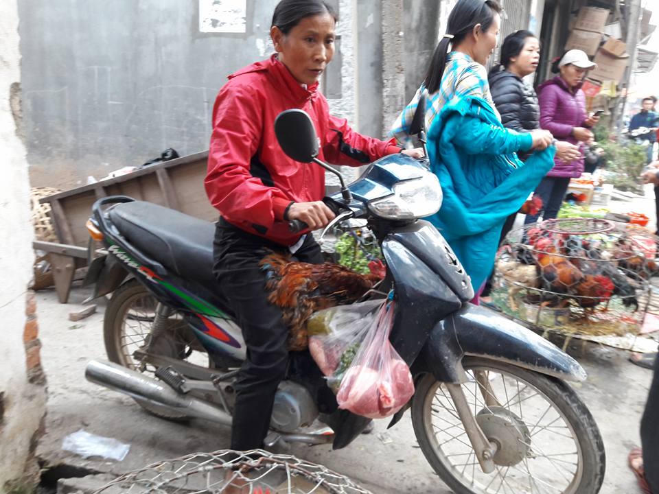 Độc đáo phiên chợ Gà ở Hà Nội