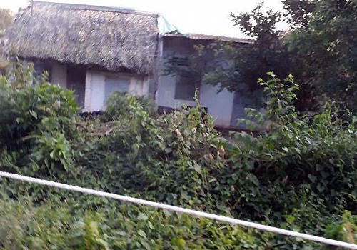 thi-the-thieu-nu-loa-the-trong-bao-tai-ven-duong-1