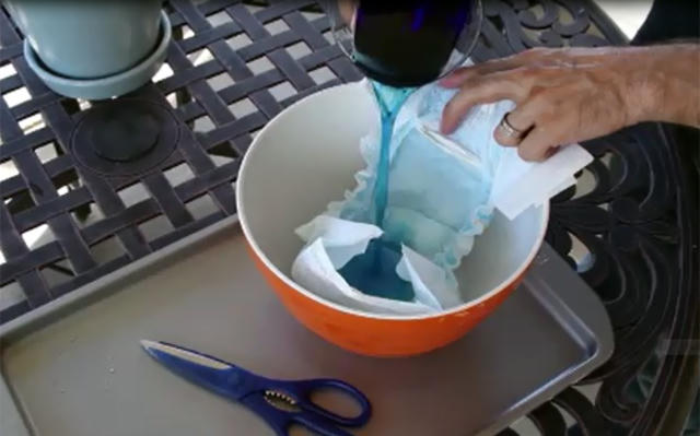 trong rau lon vu vu bang bim tre em: kho tin nhung co that hinh anh 4