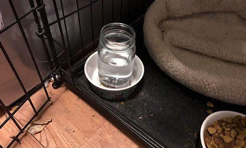 tinh-huong-oai-am-bo-me-noi-mot-dang-con-hieu-mot-neo-6