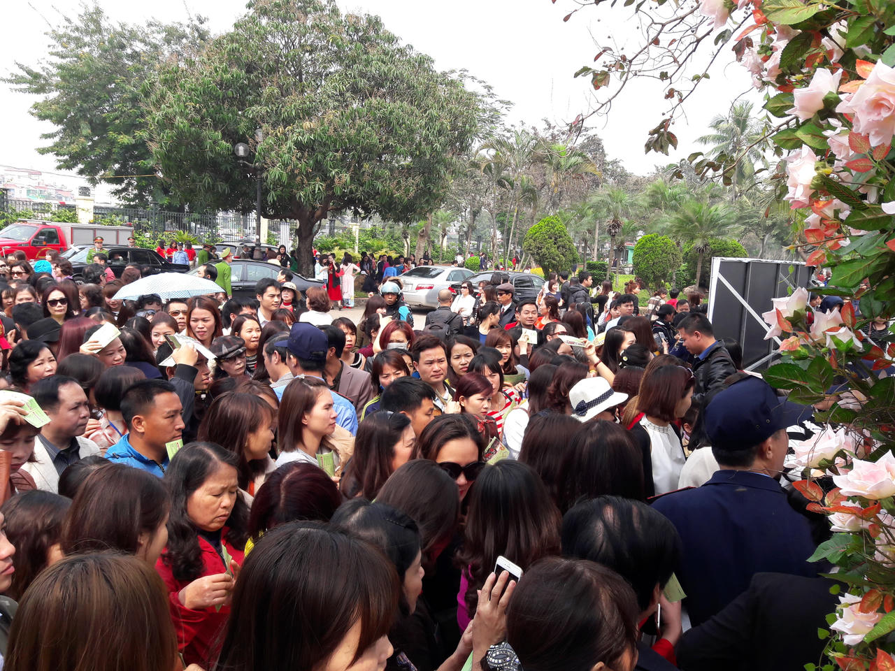 Chen chúc chờ xem lễ hội hoa hồng