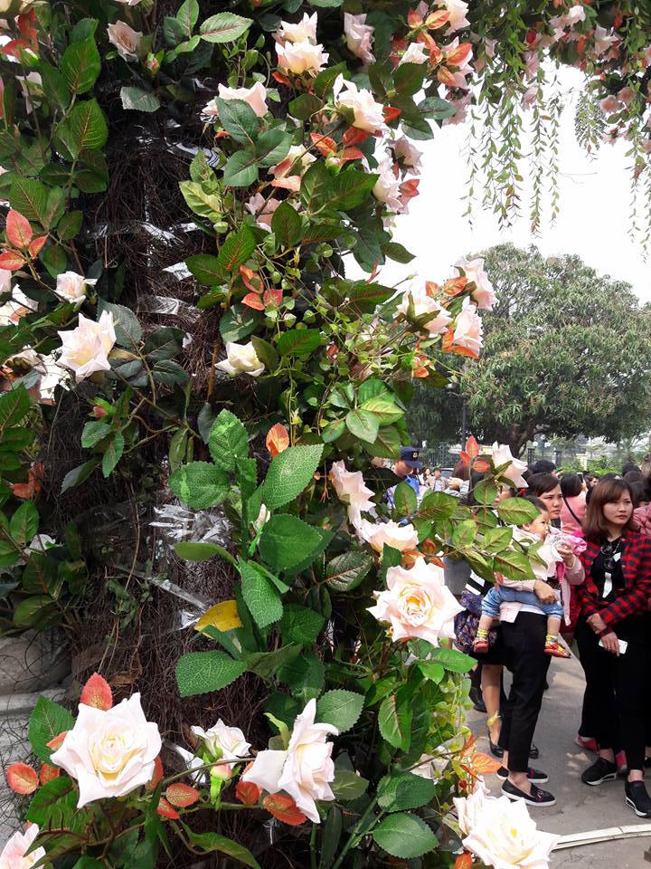 Lễ Hội hoa hồng: Thất vọng tràn trề từ 'không gian huyền thoại với hơn 300 loại hoa'