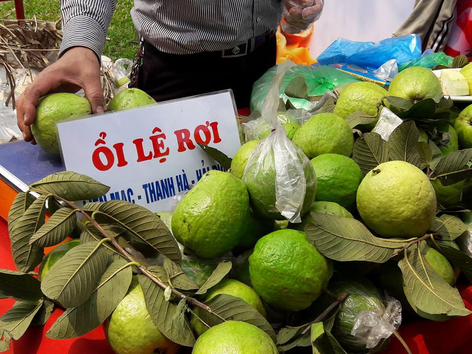 Lễ Hội hoa hồng: Thất vọng tràn trề từ 'không gian huyền thoại với hơn 300 loại hoa'