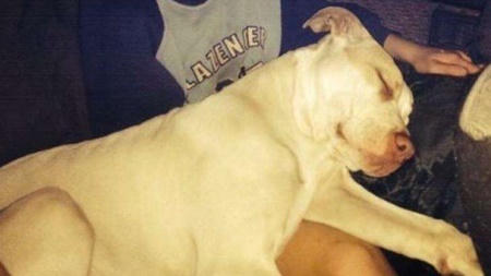 chu-cho-cuu-song-be-trai-bi-me-dim-xuong-song