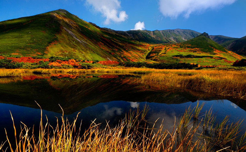 6. Đảo Hokkaido. Là vùng địa lý và là tỉnh có diện tích lớn nhất, cũng lại là đảo lớn thứ hai của Nhật Bản. Hokkaido là hòn đảo có diện tích lớn thứ 21 trên thế giới (83.454 km2).