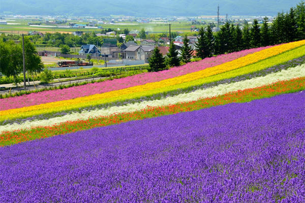 ba-diem-den-moi-cho-cac-chuyen-di-nhat-nam-2017-1