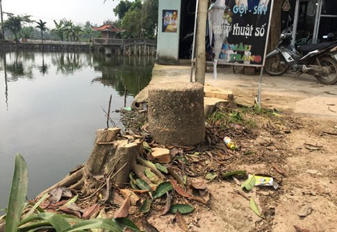 Vụ chặt cây ở Thạch Thất: Bí thư huyện nhận định 'chắc cũng đúng thôi'