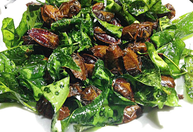 Những món vừa ăn vừa rùng mình chỉ có ở Tây Bắc