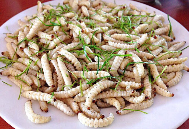 Những món vừa ăn vừa rùng mình chỉ có ở Tây Bắc