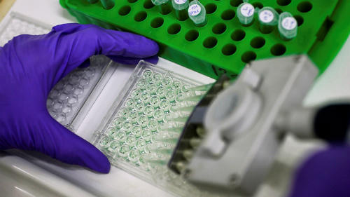 nga-tuyen-bo-tim-ra-thuoc-chua-moi-benh-ung-thu