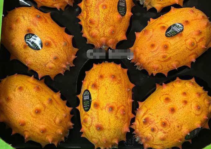 dưa chuột, hoa quả nhập khẩu, hoa quả nhật bản, quả lạ dưa chuột, hoa quả nhập khẩu, hoa quả nhật bản, quả lạ