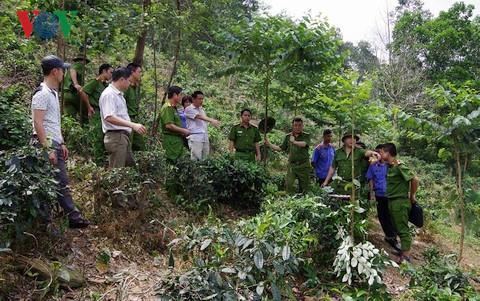 bắt khẩn cấp nghi can vụ người phụ nữ chết trên đồi chè 2 tay bị trói hình 2 bat khan cap nghi can vu nguoi phu nu chet tren doi che 2 tay bi troi hinh 2