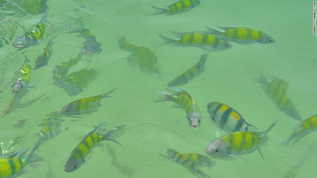 "xoa toi ben" tai thien duong bien dep nhat malaysia hinh anh 9