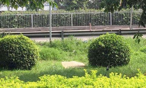 Co gai chet bi an: Loi soc cua ban di cung 