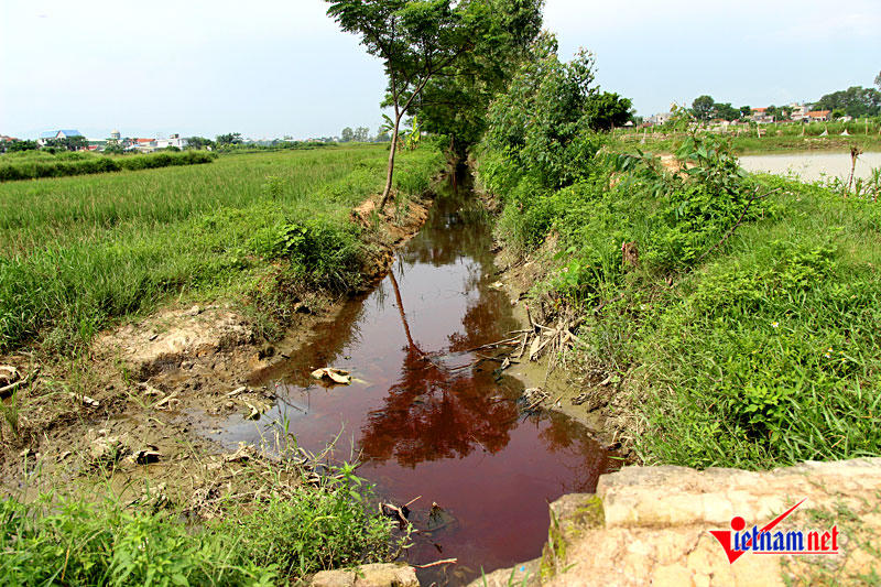 Môi trường, vi phạm môi trường, tội phạm môi trường