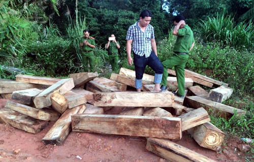 don-pho-bien-phong-bi-bat-trong-vu-pha-rung-po-mu-o-quang-nam-1