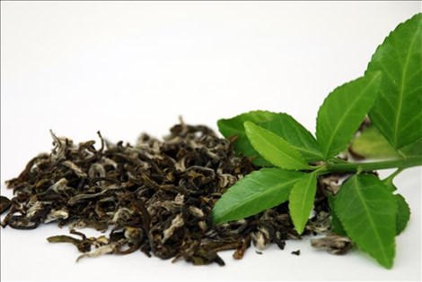 8 cách "tân trang nhan sắc" với trà xanh không biết hơi phí - Hình 3 8 cach