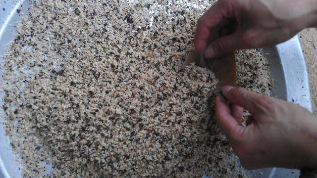 Món ngon, Món ngon mỗi ngày, Đặc sản Bình Định