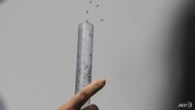 Châu Á: Sốt xuất huyết có chiều hướng giảm