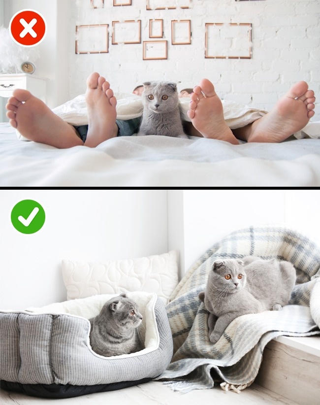 11-dieu-lam-truoc-khi-di-ngu-dem-den-hanh-phuc-cho-cac-cap-vo-chong-7